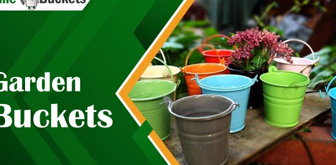 Maintenance and care of gardening buckets buckets for gardening Maintenance and care of gardening buckets buckets for gardening