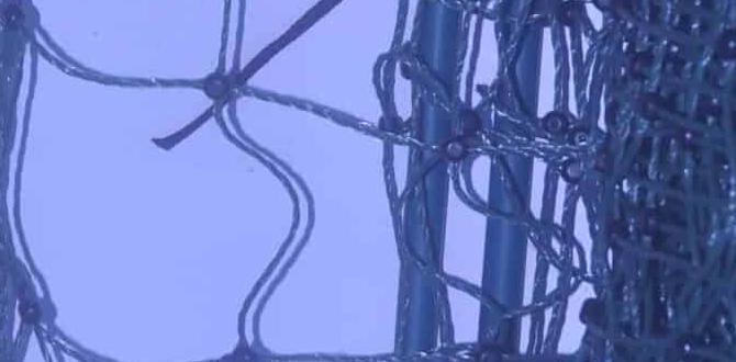 Maintenance and safety tips electric fence kits for gardens Maintenance and safety tips electric fence kits for gardens