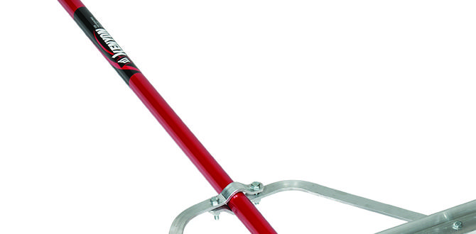 Maintenance of rakes rakes for gardening Maintenance of rakes rakes for gardening
