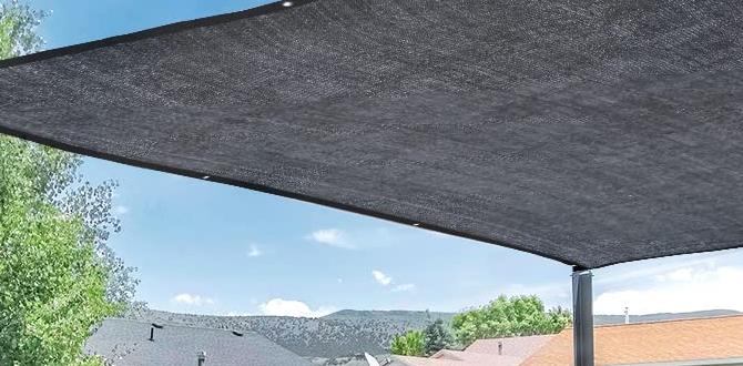 Maintenance of shade tarps shade tarps for gardens Maintenance of shade tarps shade tarps for gardens