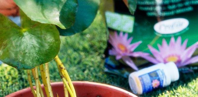 Maintenance tips for a thriving water garden plants for water gardens Maintenance tips for a thriving water garden plants for water gardens