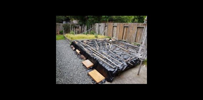 Maintenance tips for black sheet gardening black sheet for gardening Maintenance tips for black sheet gardening black sheet for gardening