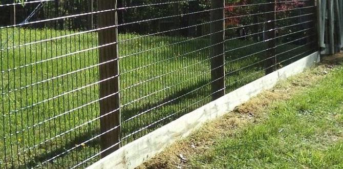 Maintenance tips for deer fences deer fences for gardens Maintenance tips for deer fences deer fences for gardens