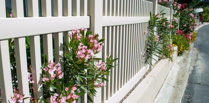 Maintenance tips for dog fences dog fencing for gardens Maintenance tips for dog fences dog fencing for gardens