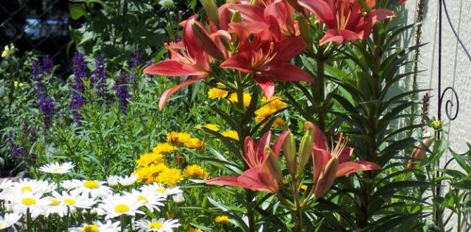 Maintenance tips for flower garden fences fences for flower gardens Maintenance tips for flower garden fences fences for flower gardens