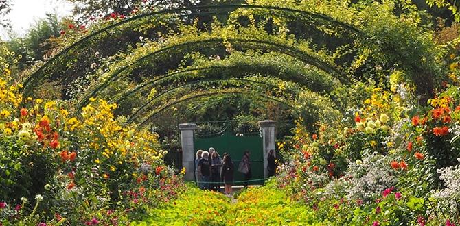 Maintenance tips for garden arches arches for gardens Maintenance tips for garden arches arches for gardens