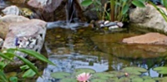 Maintenance tips for garden ponds ponds for gardens Maintenance tips for garden ponds ponds for gardens