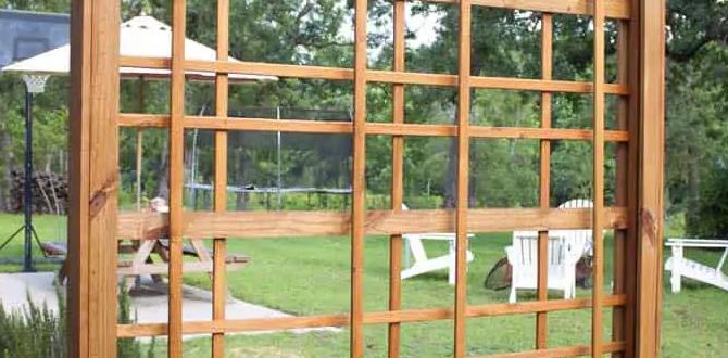 Maintenance tips for garden trellises trellis designs for gardens Maintenance tips for garden trellises trellis designs for gardens