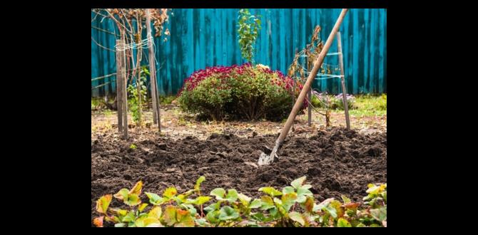 Maintenance tips for gardening beds beds for gardening