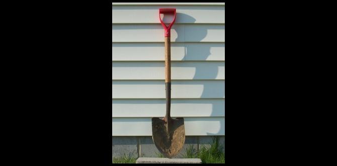 Maintenance tips for gardening shovels small shovels for gardening Maintenance tips for gardening shovels small shovels for gardening