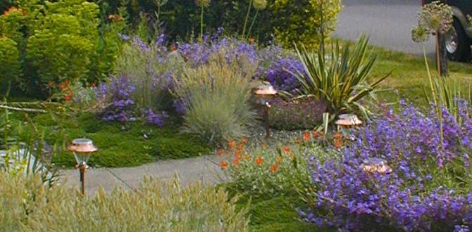 Maintenance tips for gravel front gardens ideas for gravel front gardens