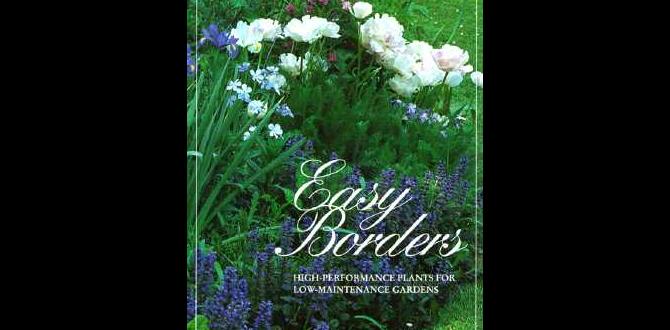 Maintenance tips for healthy borders plant borders for gardens