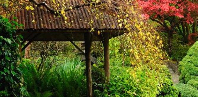 Maintenance tips for japanese garden flowers flowers for japanese gardens Maintenance tips for japanese garden flowers flowers for japanese gardens