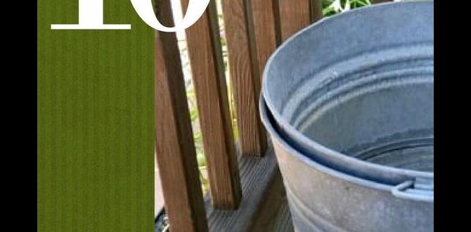 Maintenance tips for large galvanized tubs large galvanized tubs for gardening Maintenance tips for large galvanized tubs large galvanized tubs for gardening