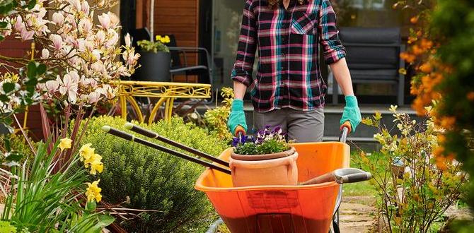 Maintenance tips for longevity wheelbarrow for gardening