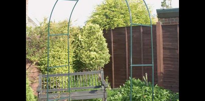 Maintenance tips for metal arches metal arches for gardens Maintenance tips for metal arches metal arches for gardens