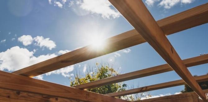 Maintenance tips for pergolas pergolas for gardens