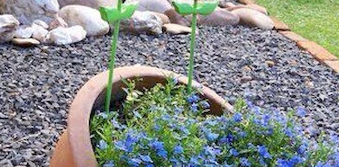 Maintenance tips for rock gardens rock designs for gardens Maintenance tips for rock gardens rock designs for gardens