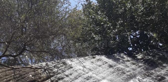 Maintenance tips for rock waterfalls rock waterfalls for gardens Maintenance tips for rock waterfalls rock waterfalls for gardens