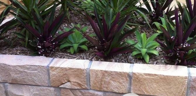 Maintenance tips for sandstone edging sandstone edging for gardens Maintenance tips for sandstone edging sandstone edging for gardens
