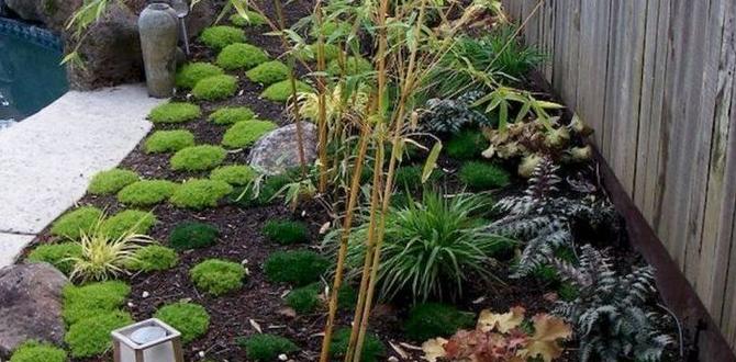 Maintenance tips for small japanese gardens japanese garden designs for small gardens Maintenance tips for small japanese gardens japanese garden designs for small gardens