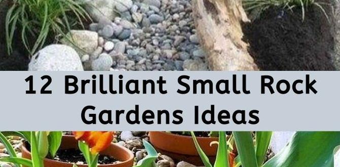 Maintenance tips for small rock gardens ideas for small rock gardens