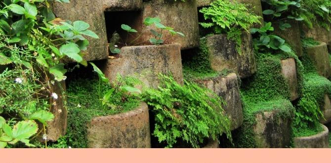 Maintenance tips for small space gardens gardening ideas for small spaces Maintenance tips for small space gardens gardening ideas for small spaces