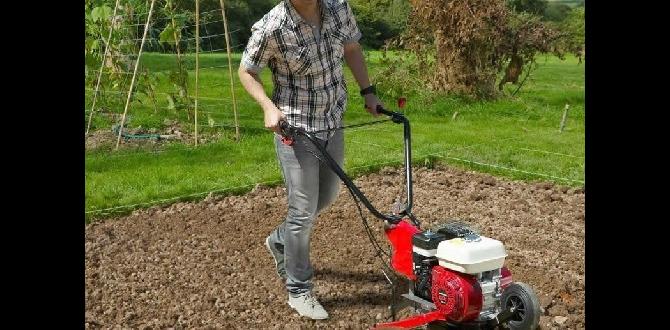 Maintenance tips for small tillers small tillers for gardens Maintenance tips for small tillers small tillers for gardens