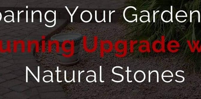 Maintenance tips for stone gardens ideas for gardens with stones Maintenance tips for stone gardens ideas for gardens with stones