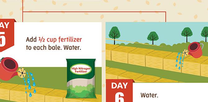 Maintenance tips for straw bale gardens straw bale for gardening