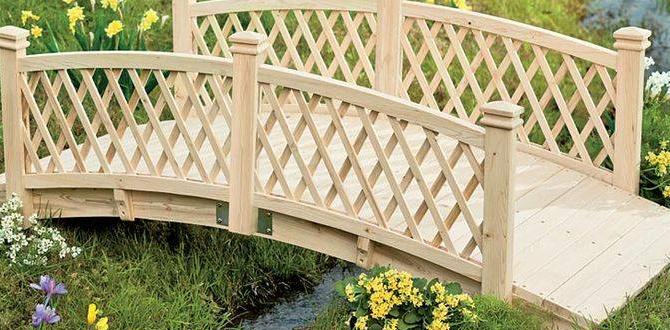 Maintenance tips for wooden bridges small wooden bridges for gardens Maintenance tips for wooden bridges small wooden bridges for gardens