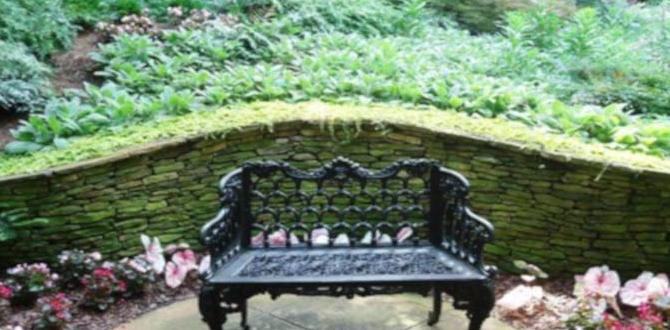 Maintenance tips for wrought iron arches wrought iron arches for gardens Maintenance tips for wrought iron arches wrought iron arches for gardens