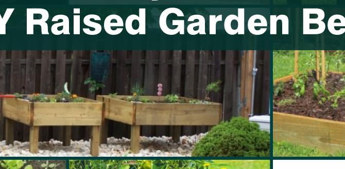 Maintenance tips for your raised beds diy raised beds for gardening Maintenance tips for your raised beds diy raised beds for gardening