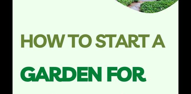 Managing pests and diseases how to start gardening for beginners Managing pests and diseases how to start gardening for beginners