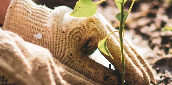 Managing weeds naturally no till gardening for beginners Managing weeds naturally no till gardening for beginners