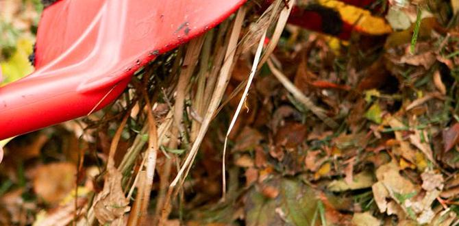 Managing your compost pile how to compost at home for gardening Managing your compost pile how to compost at home for gardening