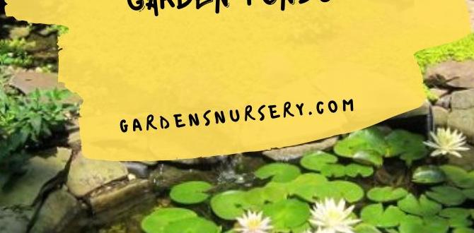 Materials and tools required garden ponds for small gardens