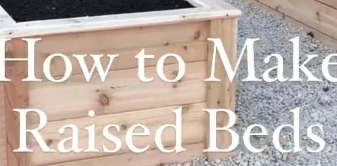 Materials for building raised beds raised bed vegetable gardening for beginners Materials for building raised beds raised bed vegetable gardening for beginners