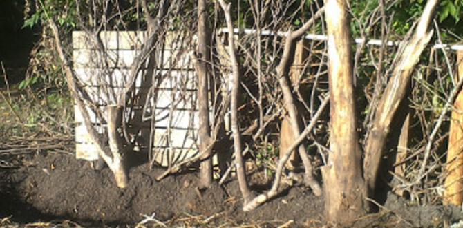 Materials for constructing gardening beds beds for gardening