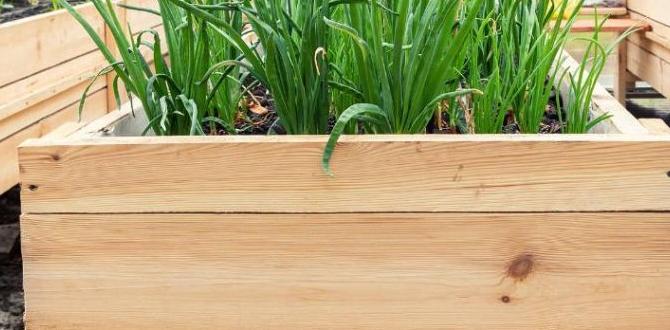Materials used in planters planters for gardening