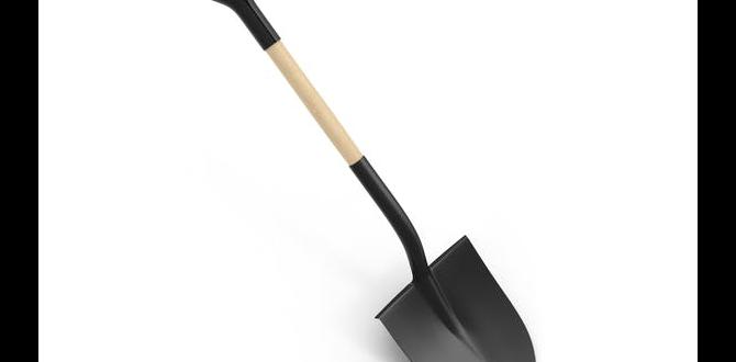 Materials used in spade construction spade for gardening Materials used in spade construction spade for gardening