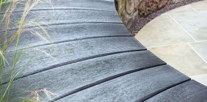 Maximizing light and minimizing shade in small gardens garden design for small gardens Maximizing light and minimizing shade in small gardens garden design for small gardens