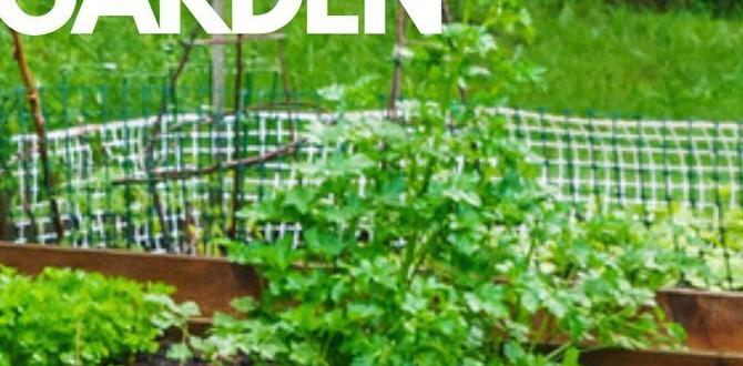 Maximizing space in small gardens designs for small gardens