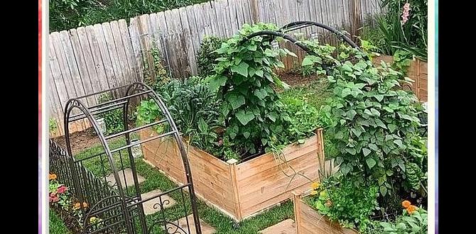 Maximizing space in small gardens ideas for small gardens pictures Maximizing space in small gardens ideas for small gardens pictures