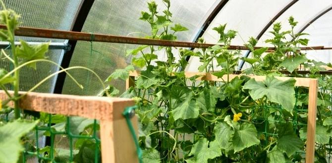 Maximizing space with trellises trellises for vegetable gardening