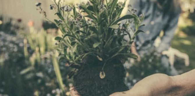 Mental health advantages why gardening is good for you