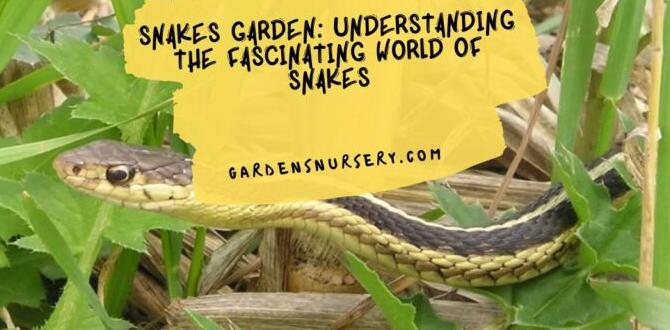 Misperceptions about snakes in the garden are snakes good for gardens