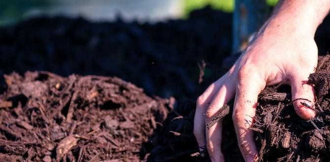 Mulching and weed control good gardening tips for beginners