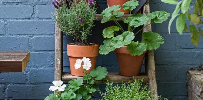 Multifunctional furniture and features garden ideas for narrow gardens