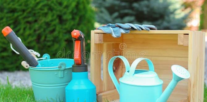 Musthave tools for lawn preparation gardening tools for grass